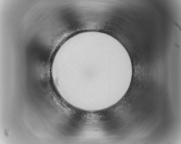 X0000103950632200810031346