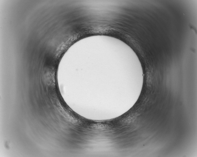 X0000103950633200810031346