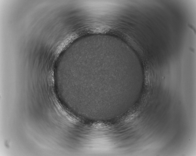 X0000103950634200810031346