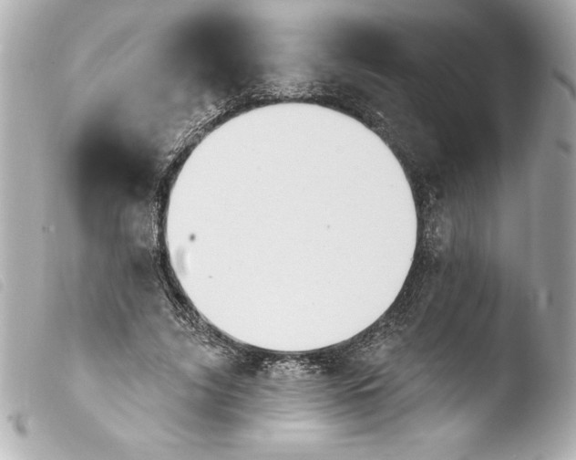 X0000103950635200810031346