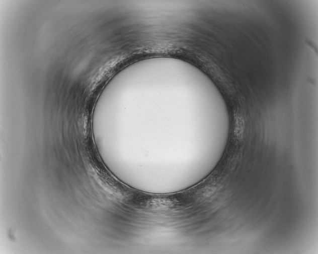 X0000103950636200810031346