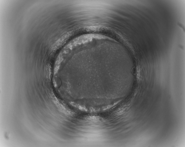 X0000103950637200810031346