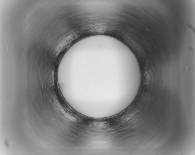 X0000103950638200810031346