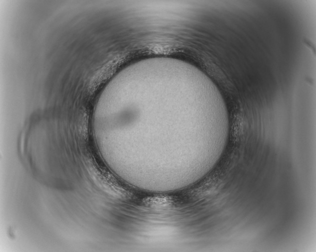 X0000103950639200810031346