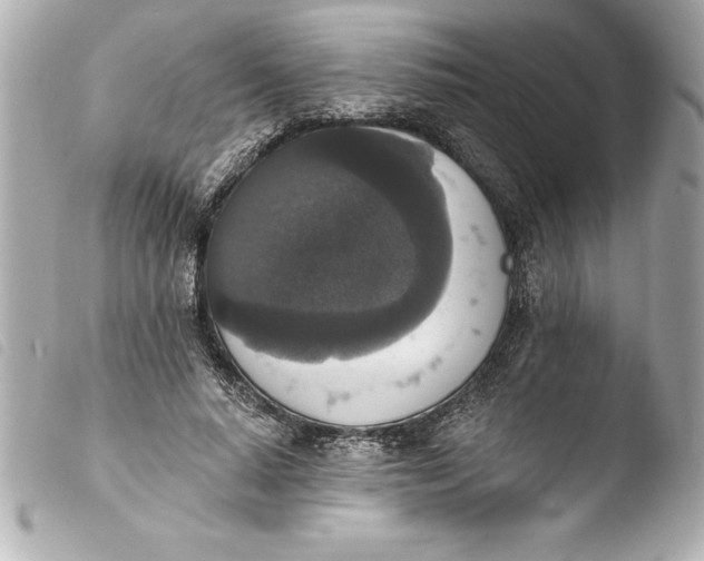 X0000103950640200810031346