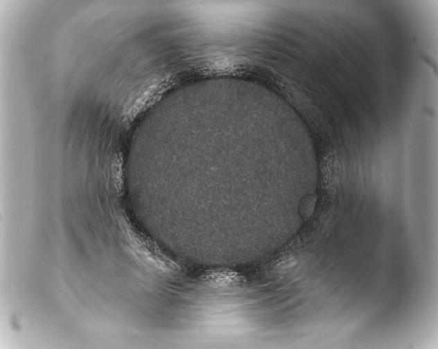 X0000103950642200810031346