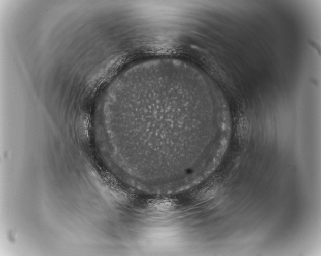 X0000103950643200810031346