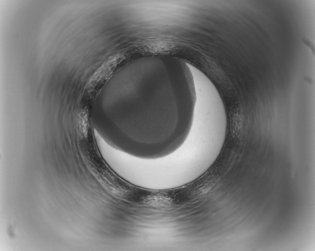 X0000103950644200810031346