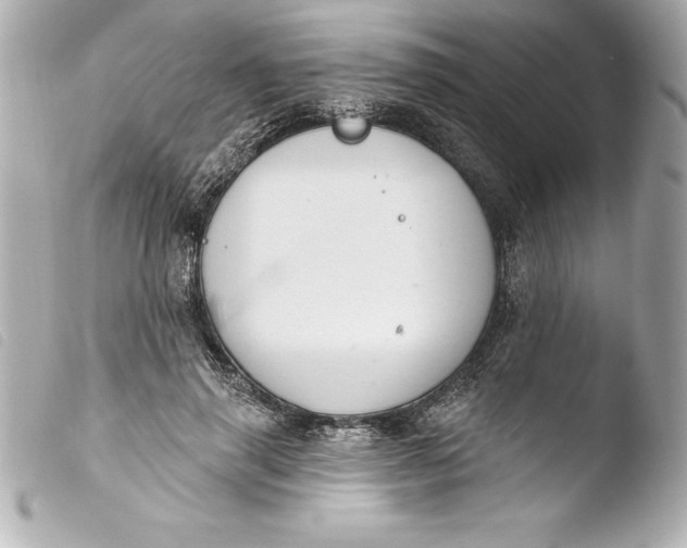 X0000103950645200810031346