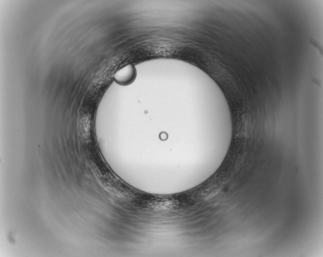 X0000103950646200810031346