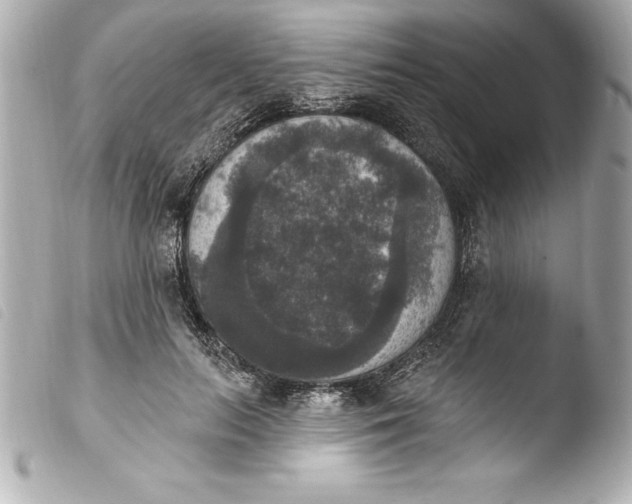 X0000103950647200810031346