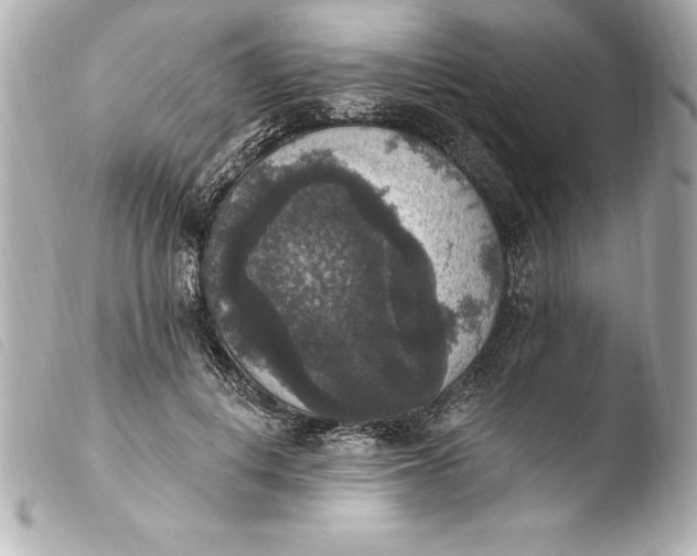 X0000103950648200810031346