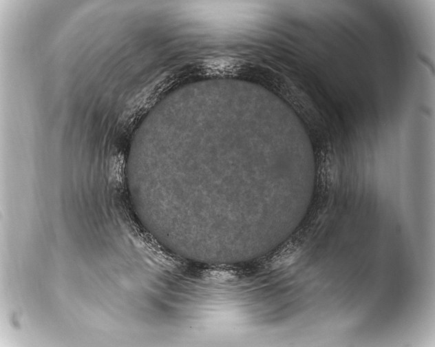 X0000103950649200810031346