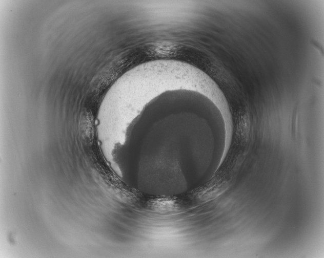 X0000103950651200810031346