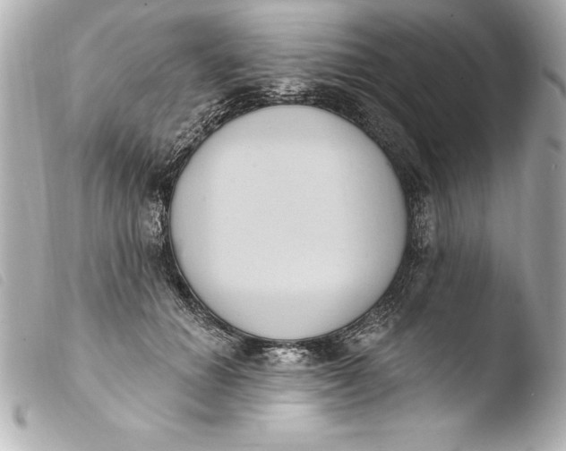 X0000103950654200810031346