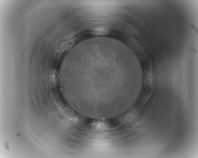 X0000103950655200810031346