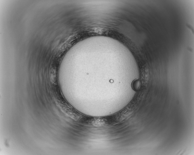 X0000103950656200810031347