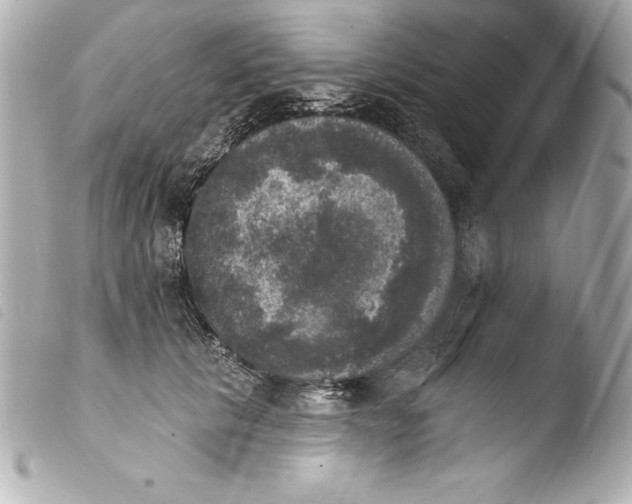 X0000103950657200810031347