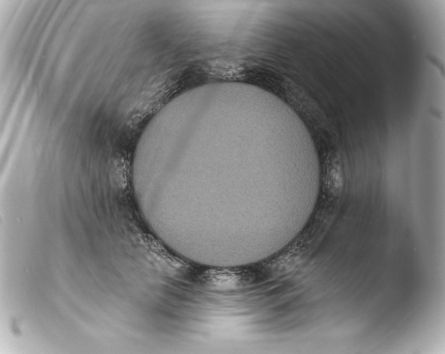 X0000103950658200810031347