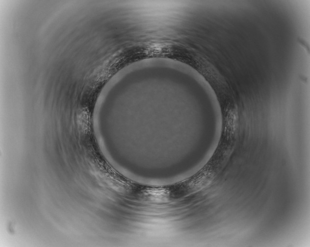 X0000103950659200810031347