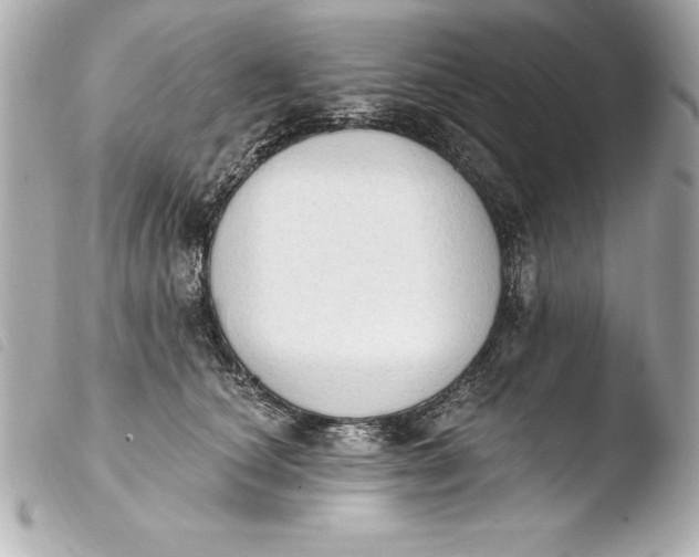 X0000103950660200810031347