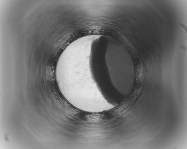 X0000103950661200810031347