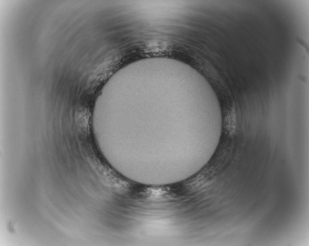 X0000103950662200810031347