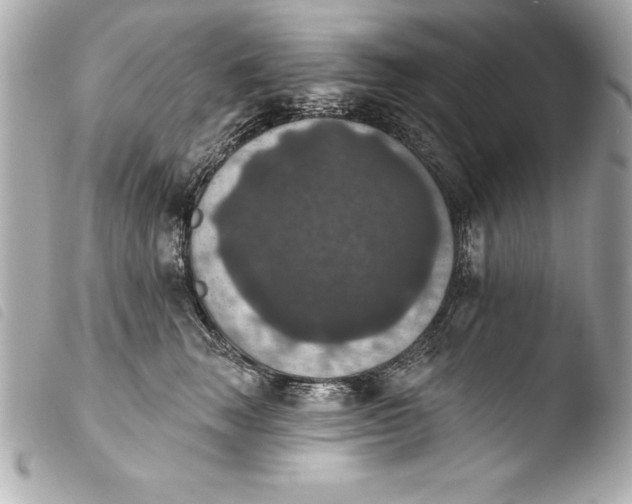 X0000103950663200810031347