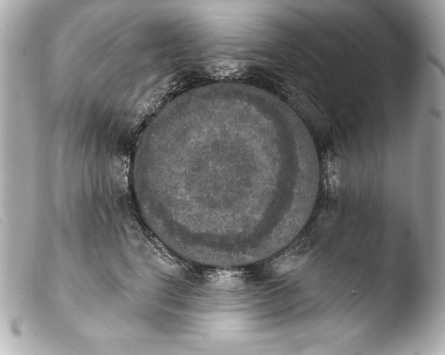 X0000103950664200810031347