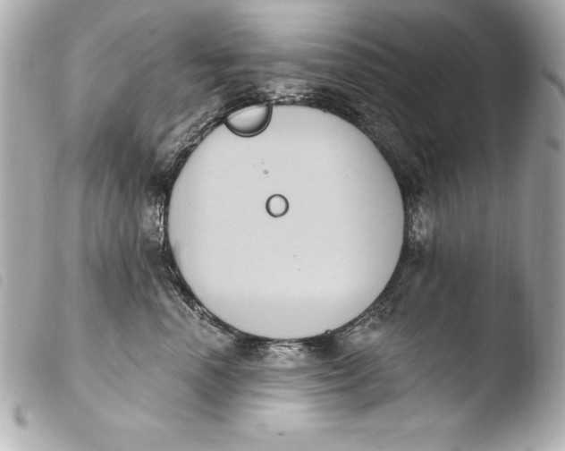 X0000103950666200810031347