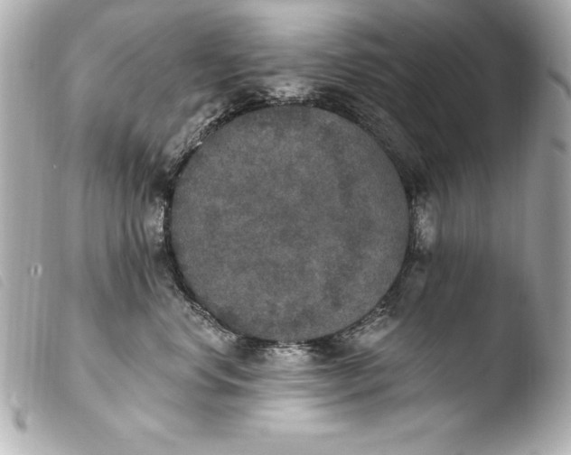 X0000103950668200810031347