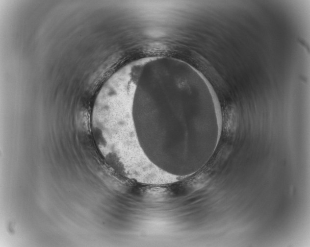 X0000103950669200810031347