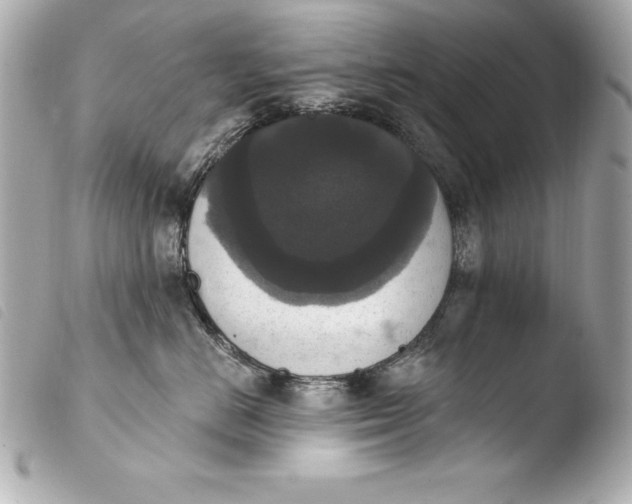 X0000103950670200810031347