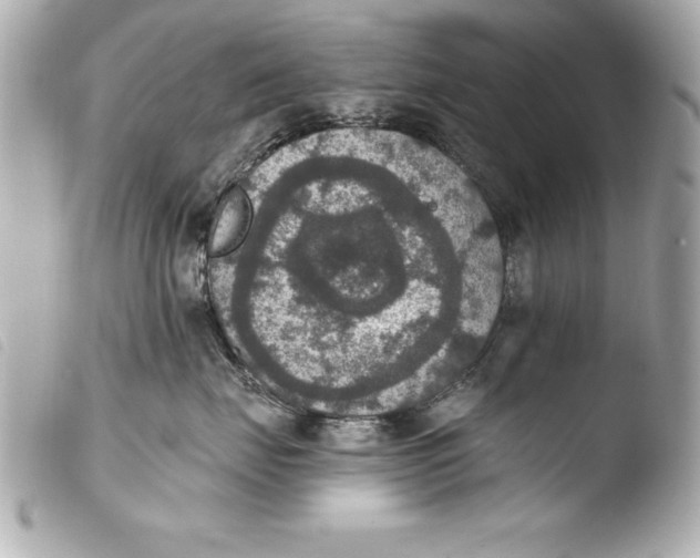 X0000103950671200810031347