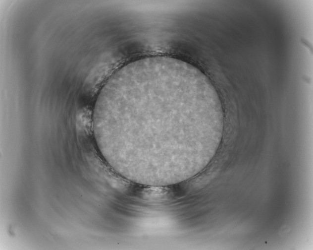 X0000103950672200810031347