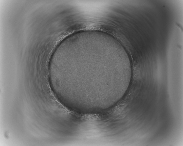 X0000103950673200810031346