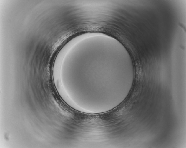 X0000103950674200810031346