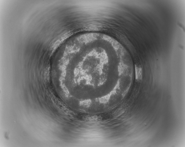 X0000103950675200810031346