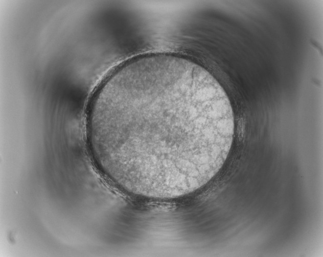 X0000103950676200810031346