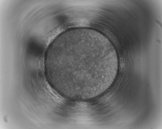 X0000103950677200810031346