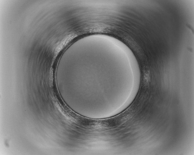 X0000103950678200810031346