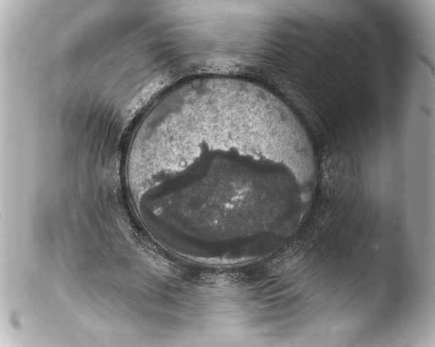 X0000103950679200810031346