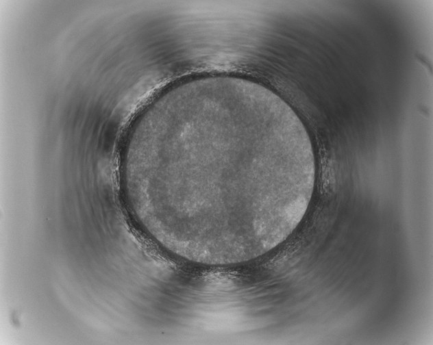 X0000103950680200810031346