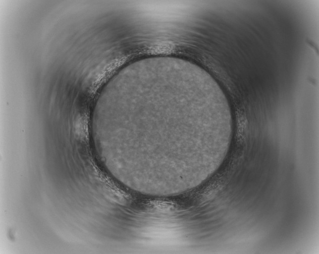 X0000103950681200810031346