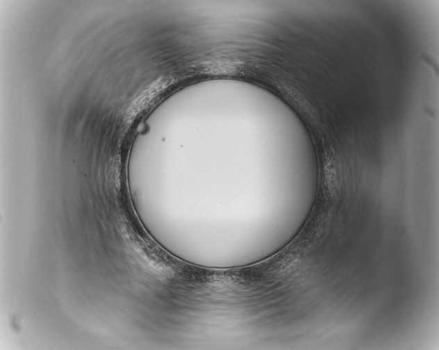 X0000103950682200810031346