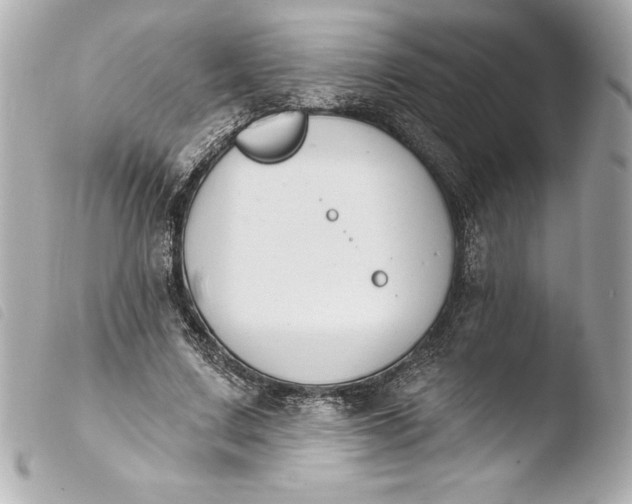 X0000103950683200810031346