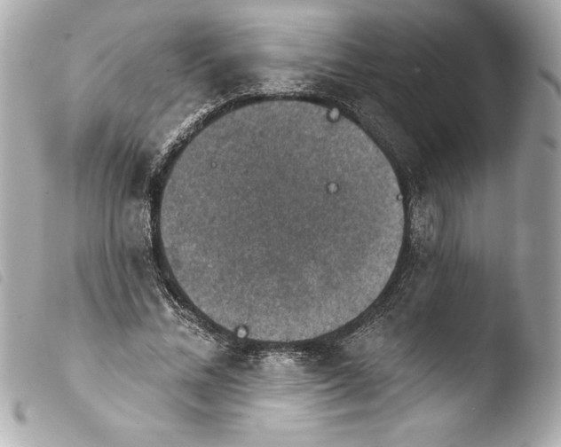 X0000103950684200810031346