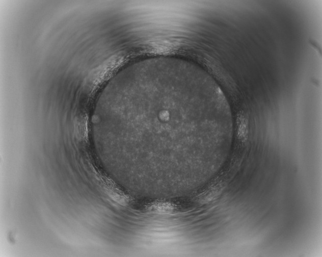 X0000103950685200810031346