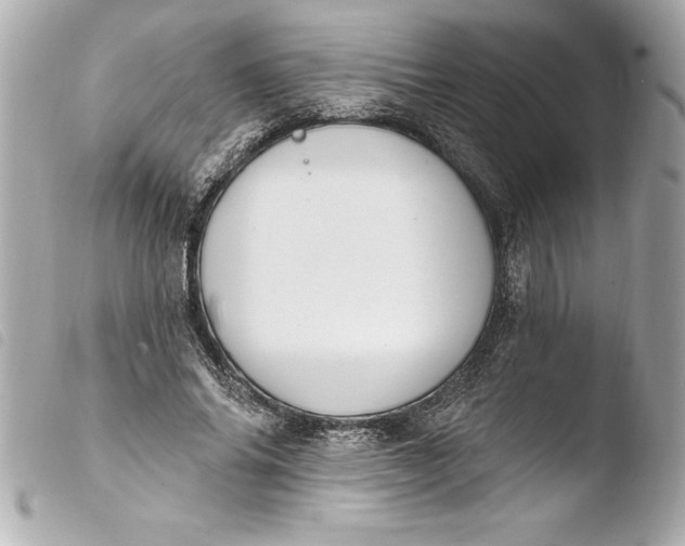 X0000103950686200810031346