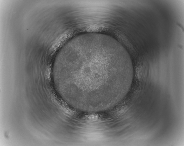 X0000103950687200810031346